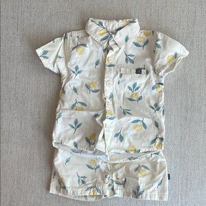 Kids Lemon Print Shirt and Shorts Set